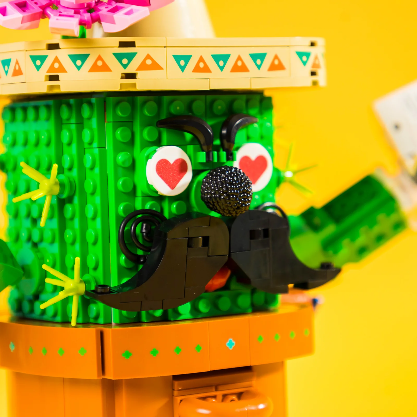 Cactus Capsule Machine